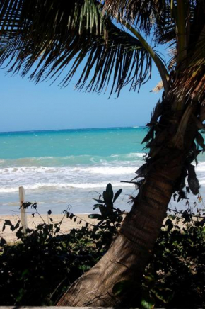 IVBB Beach Studio